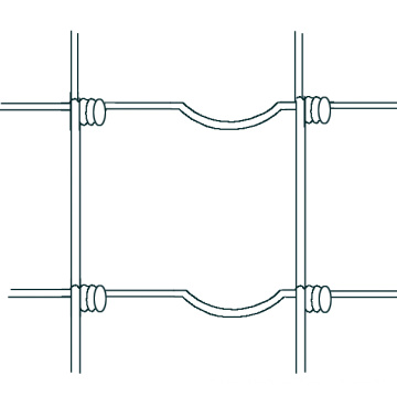 HIgh quality galvanized bird cage welded wire mesh 6x6 reinforcing welded wire